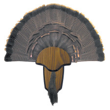 H.S. Strut Turkey Fan & Beard Mounting Kit 00849 H.S. Strut Turkey Fan & Beard Mounting Kit 00849