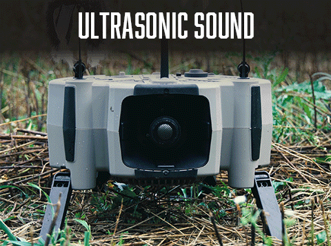 FOXPRO X360 Electronic Predator Call with TX-2000 Remote | All