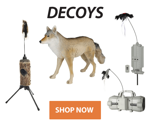 Click to see our selection of Decoys