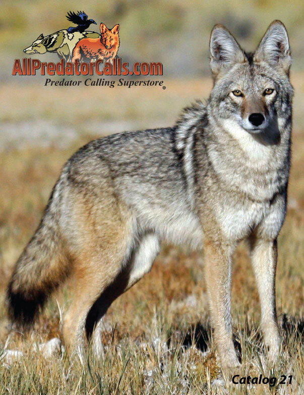 AllPredatorCalls Catalog 21 Cover