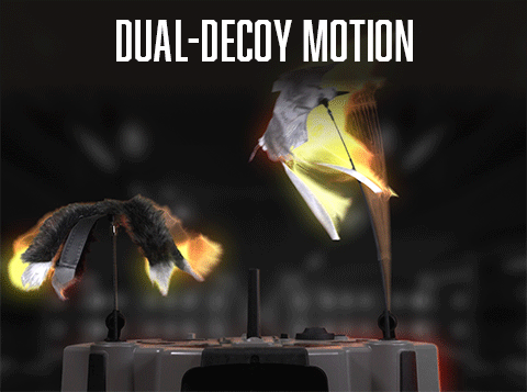 g-decoy.gif