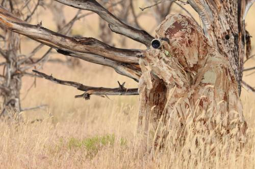 allpredatorcalls.com