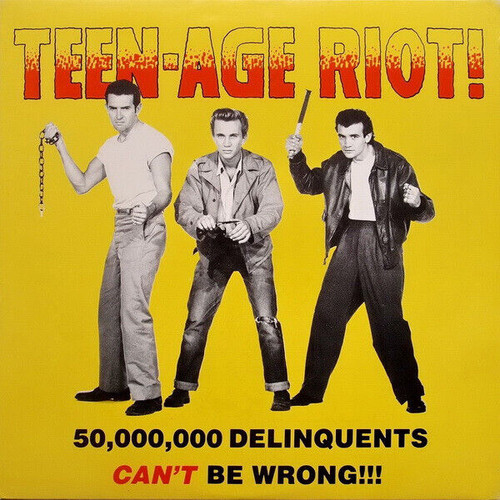 Teen-Age Riot! 50,000,000 Delinquents Can't Be Wrong LP Vinyl Record