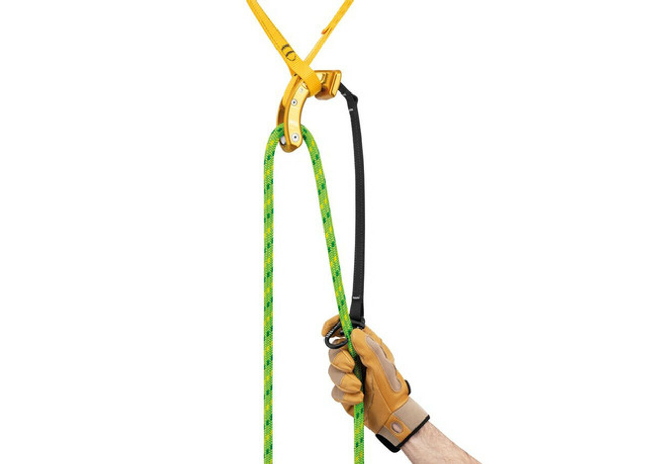 Buy Petzl Treesbee False Crotch Screwlink by Petzl, Quality Gear For  Arborist