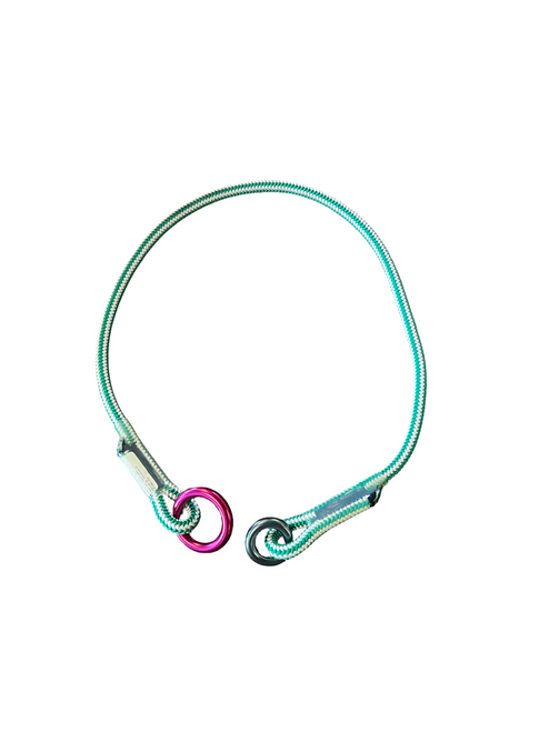 The Splice Shop 4' Ring to Ring Friction Saver with Yale Spearmint