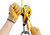 Petzl RIG Small Belay Device