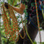 Gravity Aurora Rope