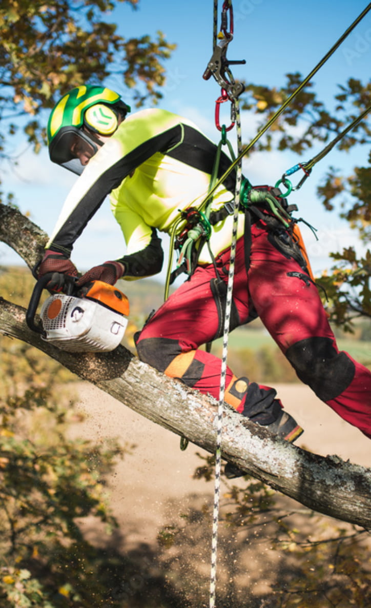 Gap Arborist Supply  Climbing, Rigging Gear, Tools