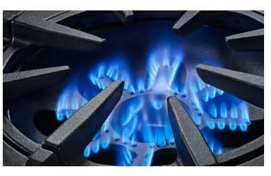 BlueStar Platinum Series Gas Range