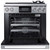 DOP36M94DLS Dacor 36" Contemporary Pro Natural Gas Dual-Fuel Steam Range with Griddle - Stainless Steel