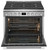 PCFD3670AF Frigidaire Professional 36" Dual Fuel Freestanding Range with Total Convection - Smudge Proof Stainless Steel