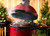 Image of Kamado Joe BJ24NRHC