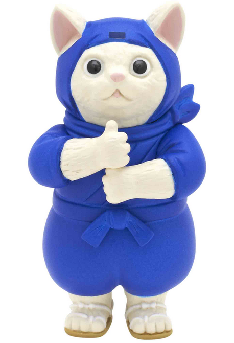 The Ninja Cat with Mask