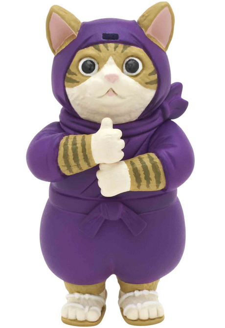 The Ninja Cat with Mask
