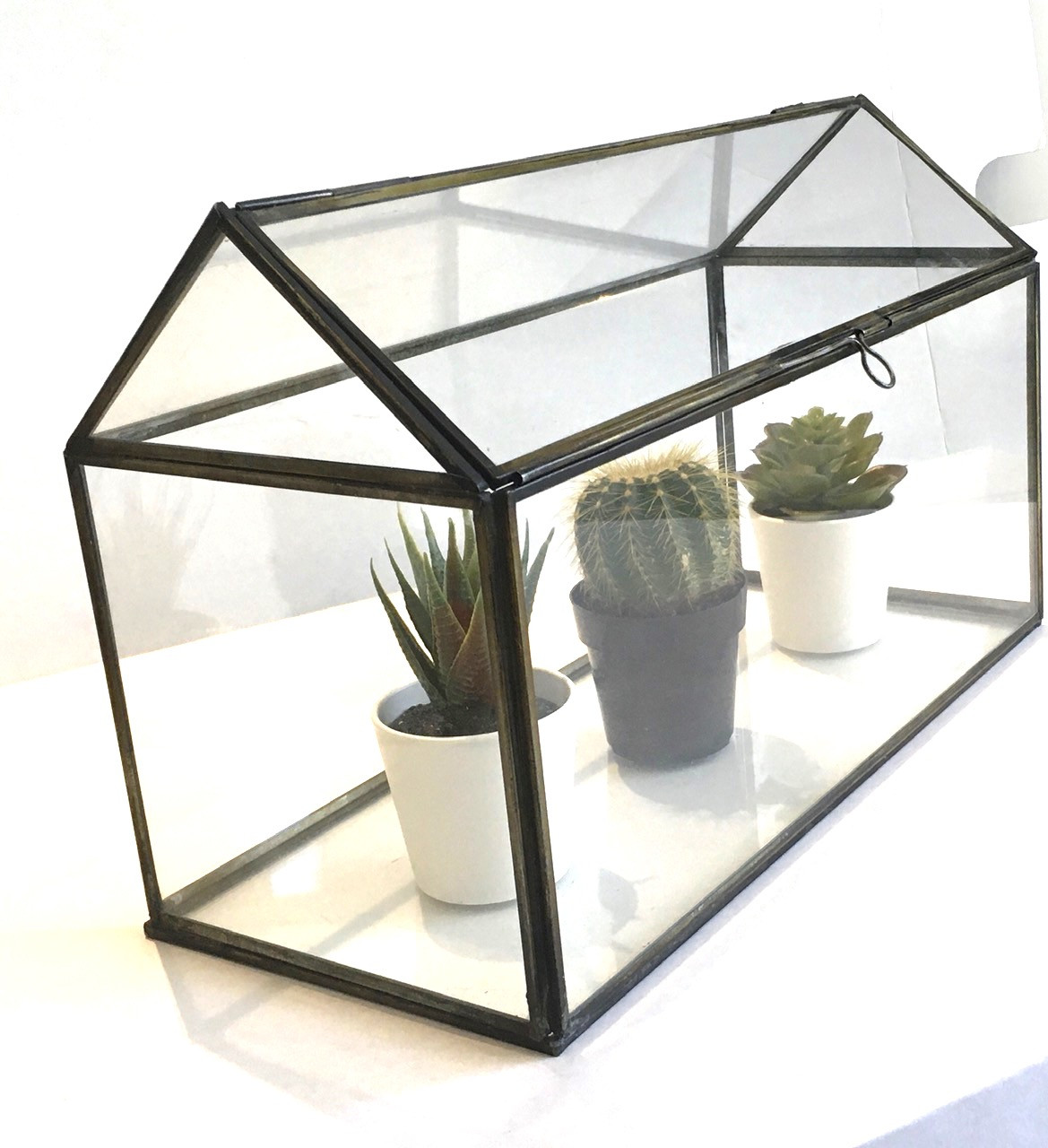 Glass House 1 Terrarium Rectangle - STUDIO BRILLANTINE | DESIGN SHOP
