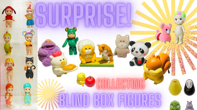 Surprise! Blind Box Collecting Guide Surprise! Blind Box Collecting Guide