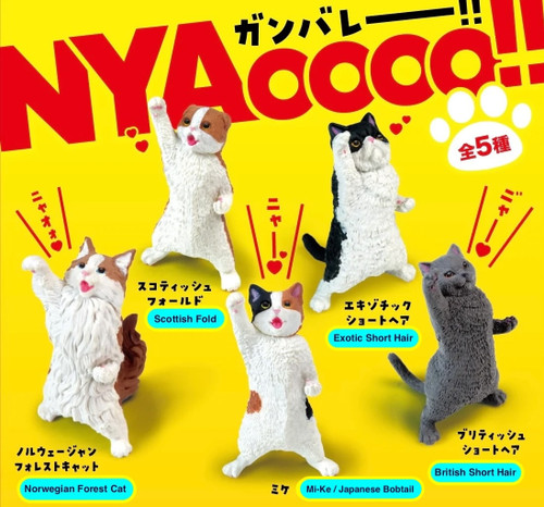 NYAoooo!! Power Cats studio brillantine toronto canada