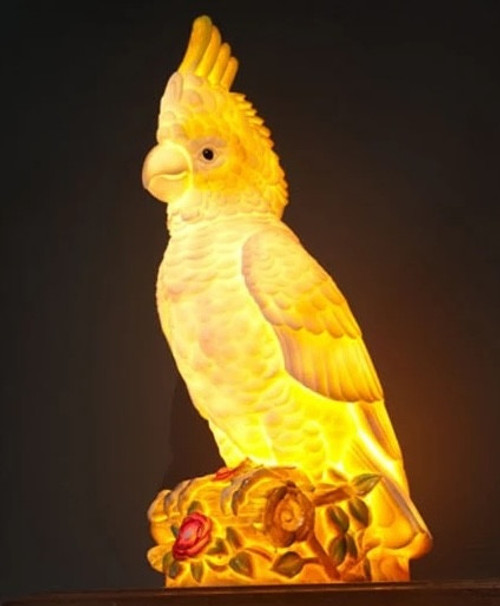 Heico Cory the Cockatoo Light studio brillantine toronto canada 2