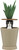 Cat in Cactus / Cat Peek Planter d