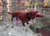Breba Dachshund [Sausage Dog] Nodder brown / Wackelfiguren studio brillantine toronto canada 1