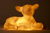 Heico Mary the lamb sheep night light studio brillantiine toronto canada 2