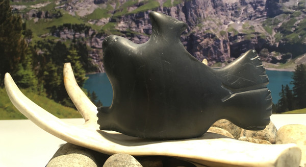 nunavik seal on antler a