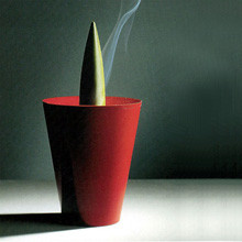 Joe Cactus Ash Tray / Philippe Starck