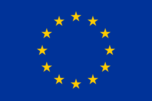 European Council Flag Printed Nylon