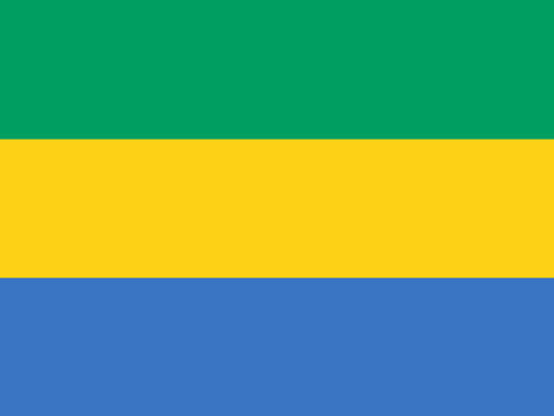Gabon Flag Printed Nylon
