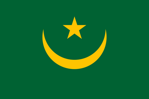 Mauritania Flag Printed Nylon