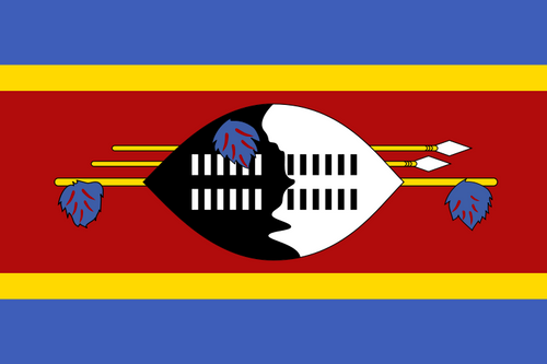 Swaziland Flag Printed Nylon