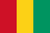 Guinea Flag Printed Nylon