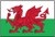 Wales Courtesy Flag 12" x 18" Nylon