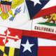 50 US State Flags