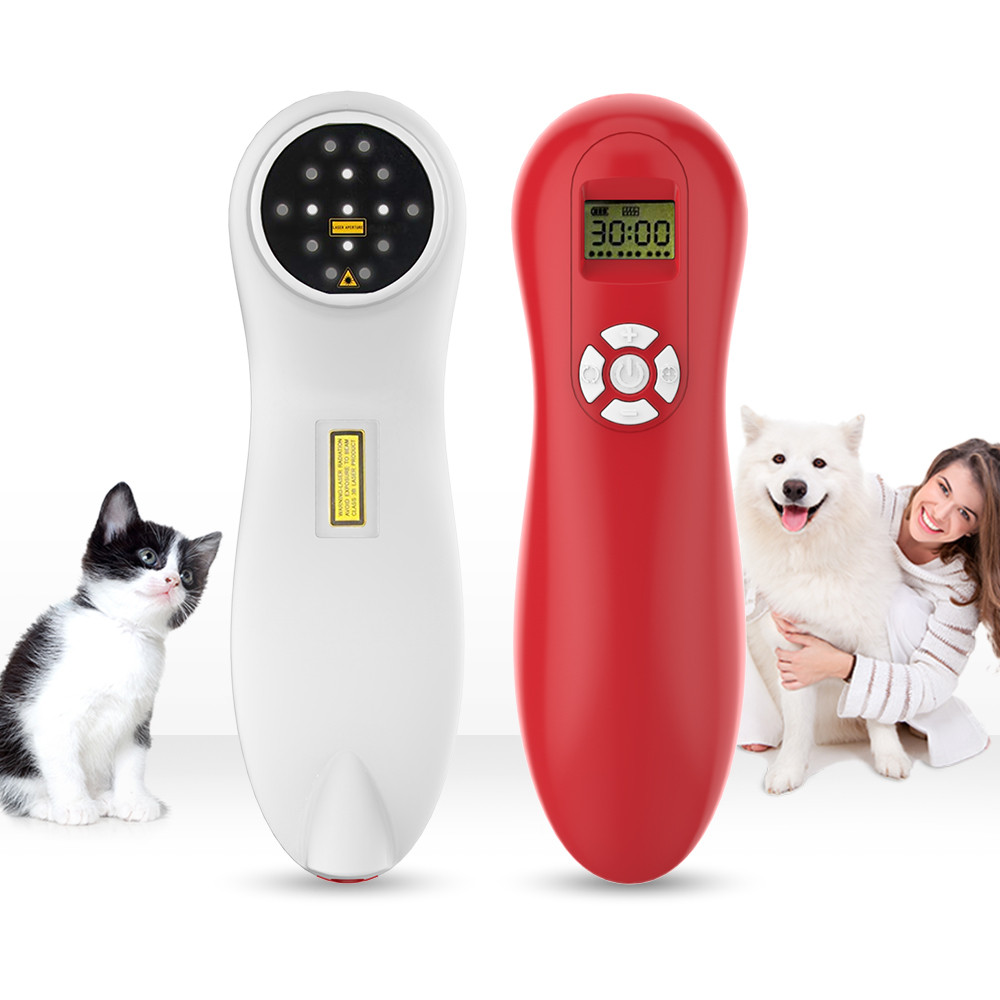 cold laser therapy veterinary