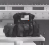 Multicam/Gold variant as seen under thermal imaging