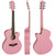 TIGER ACG1-PK-SM Acoustic Steel String Parlour Guitar - Pastel Pink Matte

