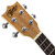 Theodore Concert Ukulele - 23 inch Uke with Tuner, Strap, Picks & Bag