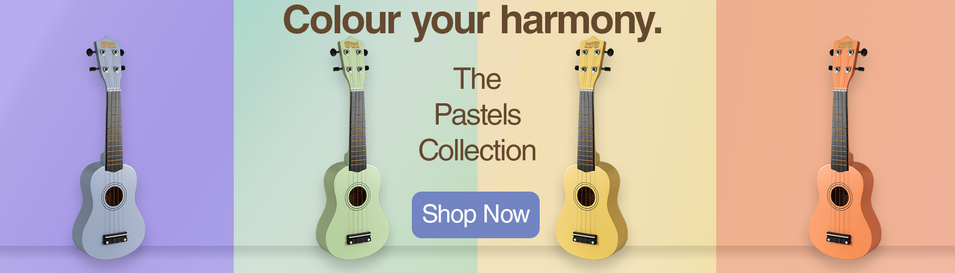 Ukuleles at DJM Music