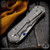 Chris Reeve Knives Folder: Inkosi Large - Insingo Left Handed