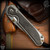 Chris Reeve Knives Folder: Sebenza 31 Large Inlay - Drop Point Bog Oak Polished