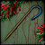 Bawidamann Sugar Shiv - Titanium Bronze/Winter Storm