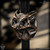 Dmitry Streltsov Constellation Bead: Owl - Titanium/Gold