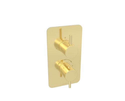 Saneux Cos 2 Way Thermostatic Shower Valve Kit