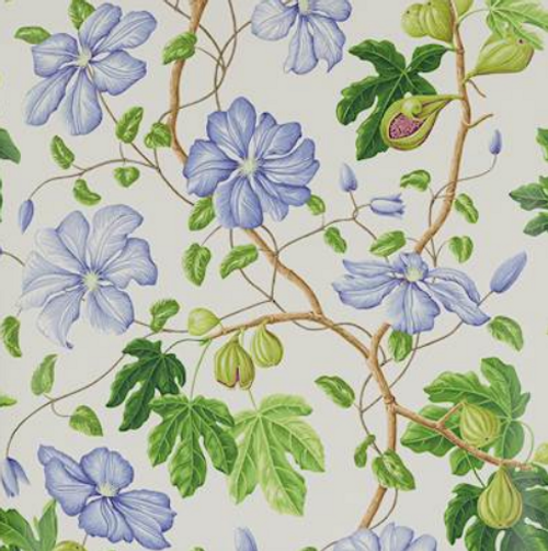 Manuel Canovas Castellane Wallpaper