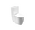Saneux Uni Close Coupled Rimless WC Pan