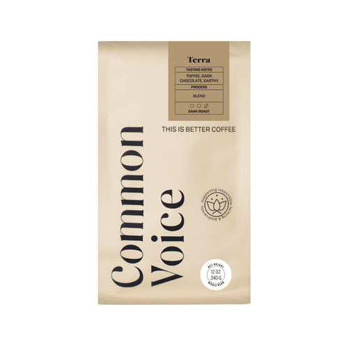Terra Common Voice