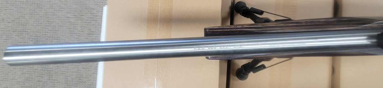 Ruger 10/22 Custom
