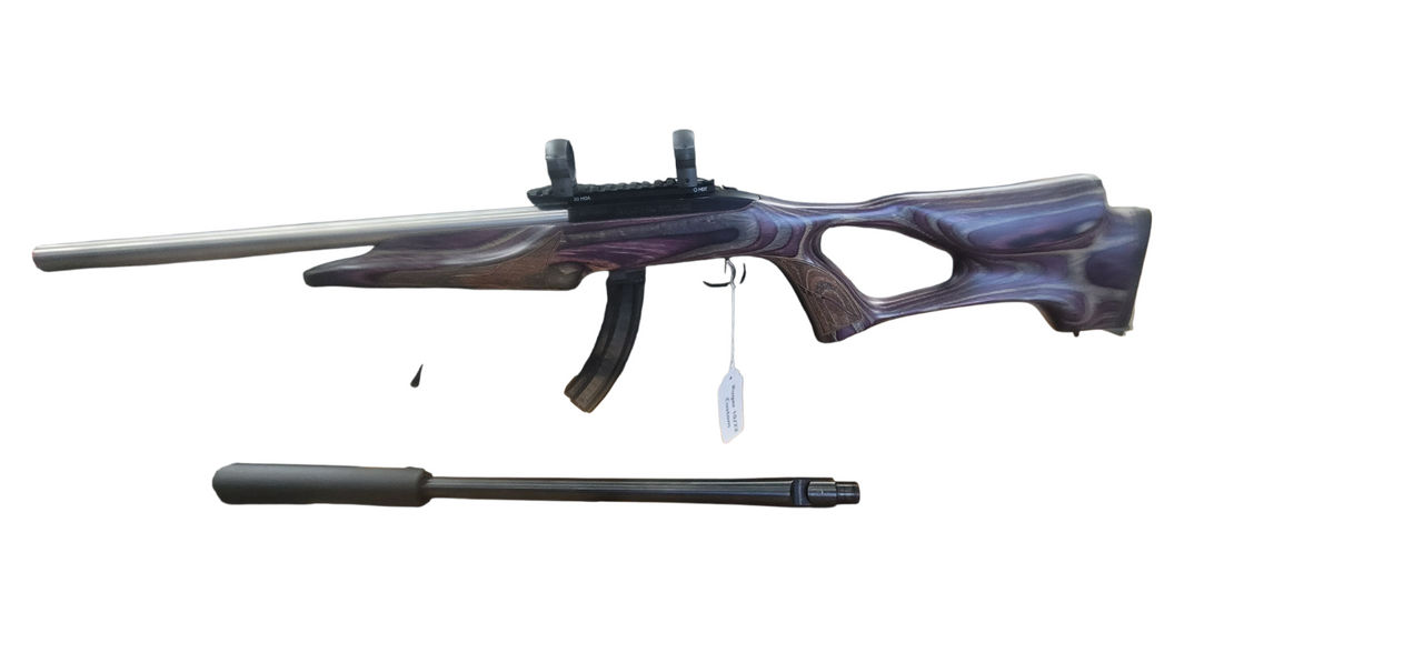 Ruger 10/22 Custom