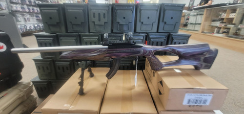 Ruger 10/22 Custom